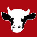 Womens footy training moving to Eastville Park for the summer