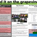 Cowgirls newsletter issue 3