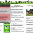 Cowgirls football newsletter issue 8