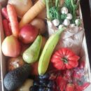 Community crisis veg boxes