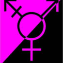 We’re not just cowboys!