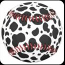 New Cowfolk softball team